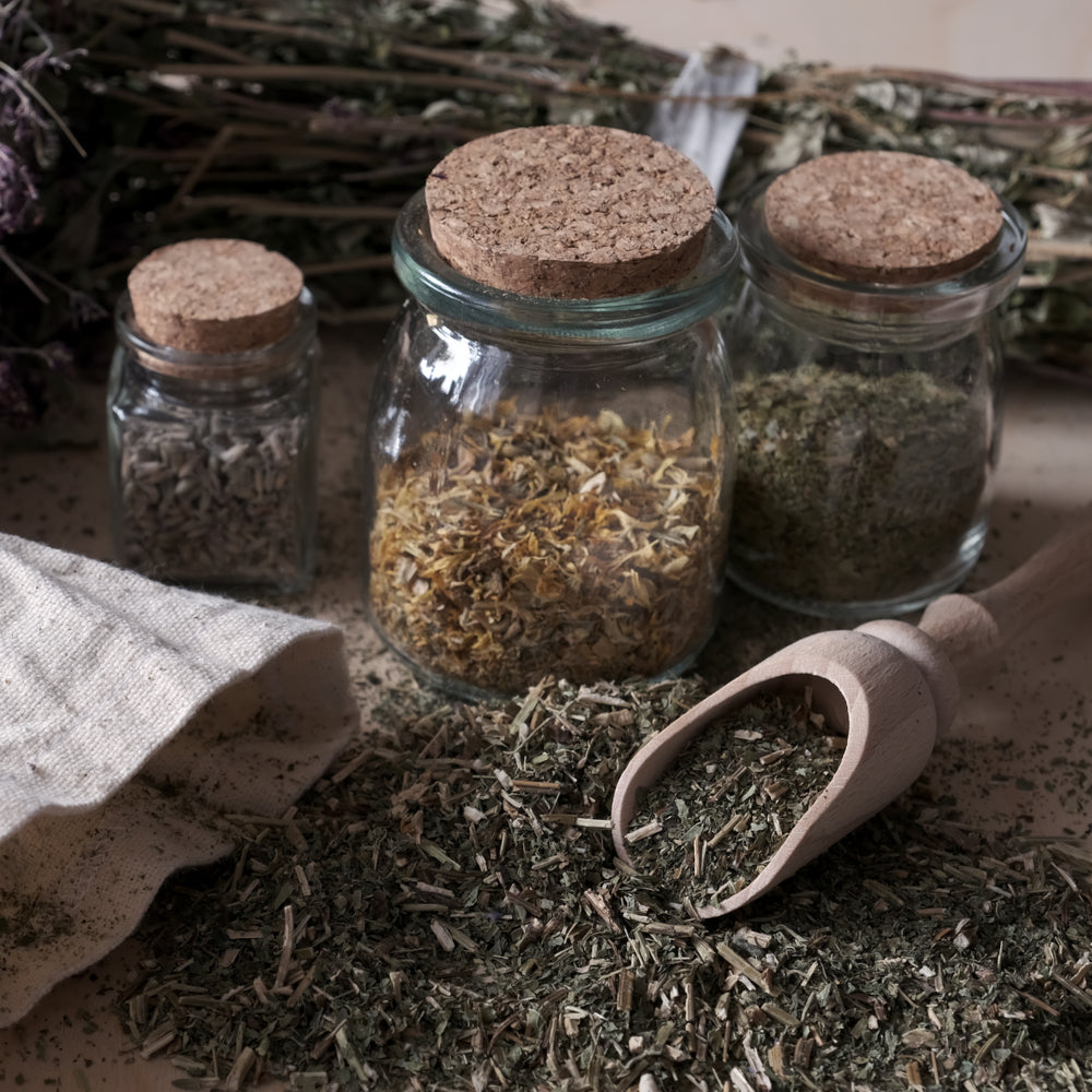 Image of a Small Herb Collection